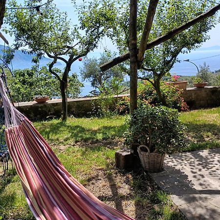 Amalfi Coast, Positano, Sorrento, Capri, Garden, Villa Carcara Colli di Fontanelle Bagian luar foto
