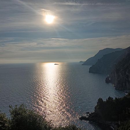 Amalfi Coast, Positano, Sorrento, Capri, Garden, Villa Carcara Colli di Fontanelle Bagian luar foto