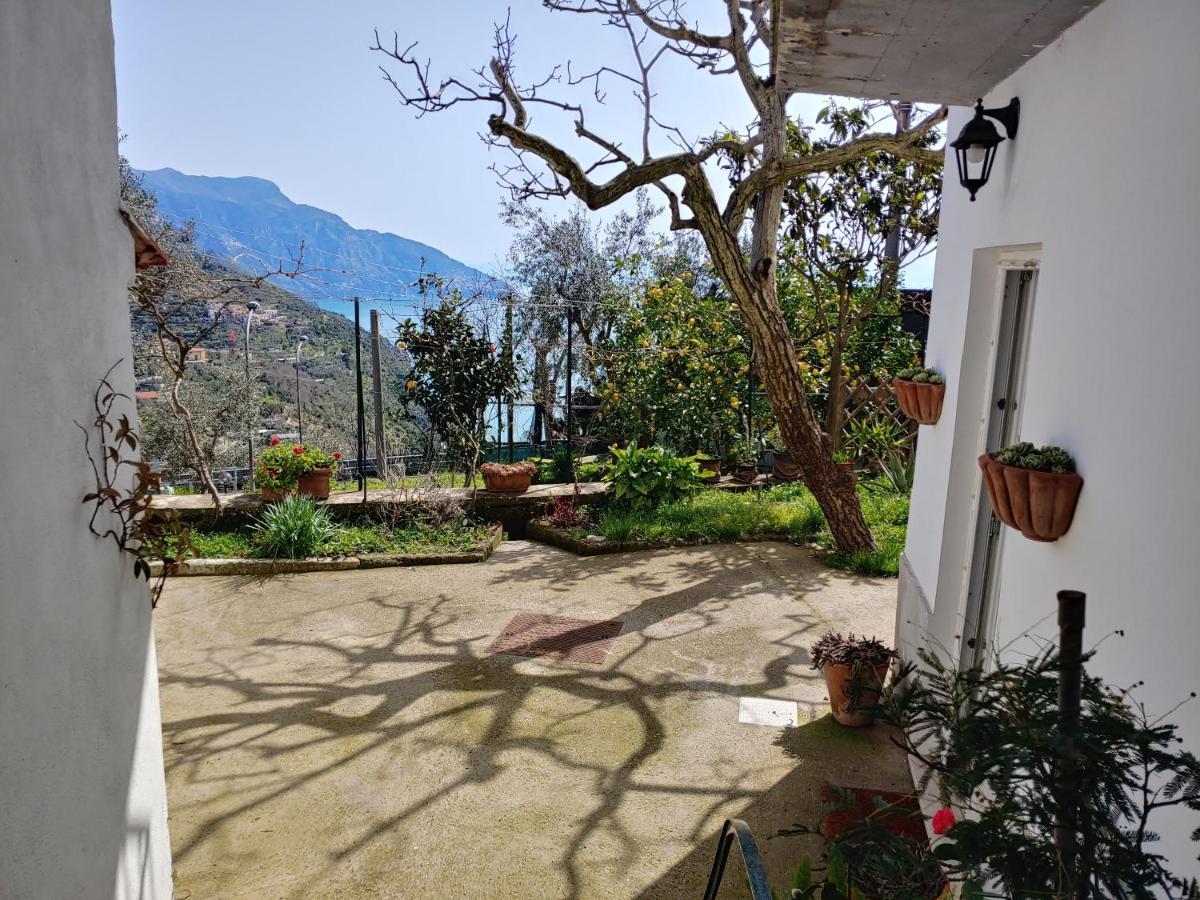 Amalfi Coast, Positano, Sorrento, Capri, Garden, Villa Carcara Colli di Fontanelle Bagian luar foto