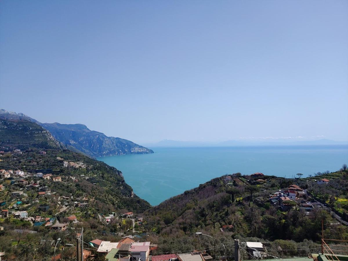 Amalfi Coast, Positano, Sorrento, Capri, Garden, Villa Carcara Colli di Fontanelle Bagian luar foto