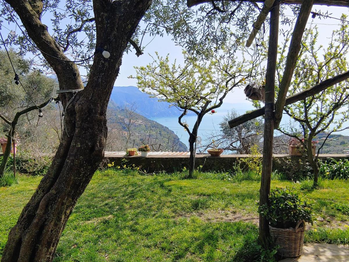 Amalfi Coast, Positano, Sorrento, Capri, Garden, Villa Carcara Colli di Fontanelle Bagian luar foto
