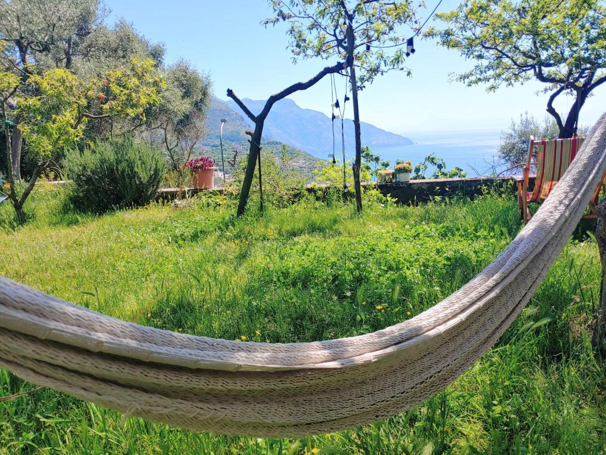 Amalfi Coast, Positano, Sorrento, Capri, Garden, Villa Carcara Colli di Fontanelle Bagian luar foto