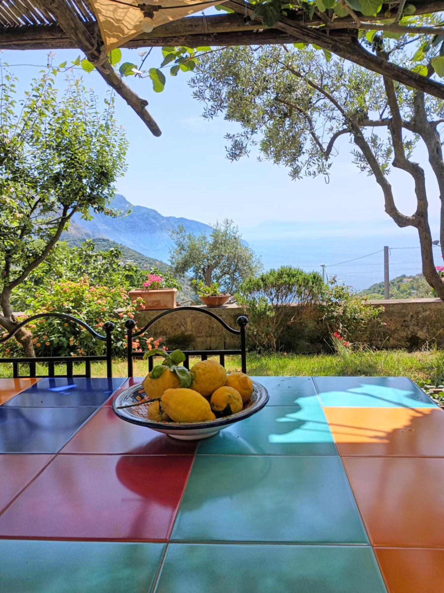 Amalfi Coast, Positano, Sorrento, Capri, Garden, Villa Carcara Colli di Fontanelle Bagian luar foto