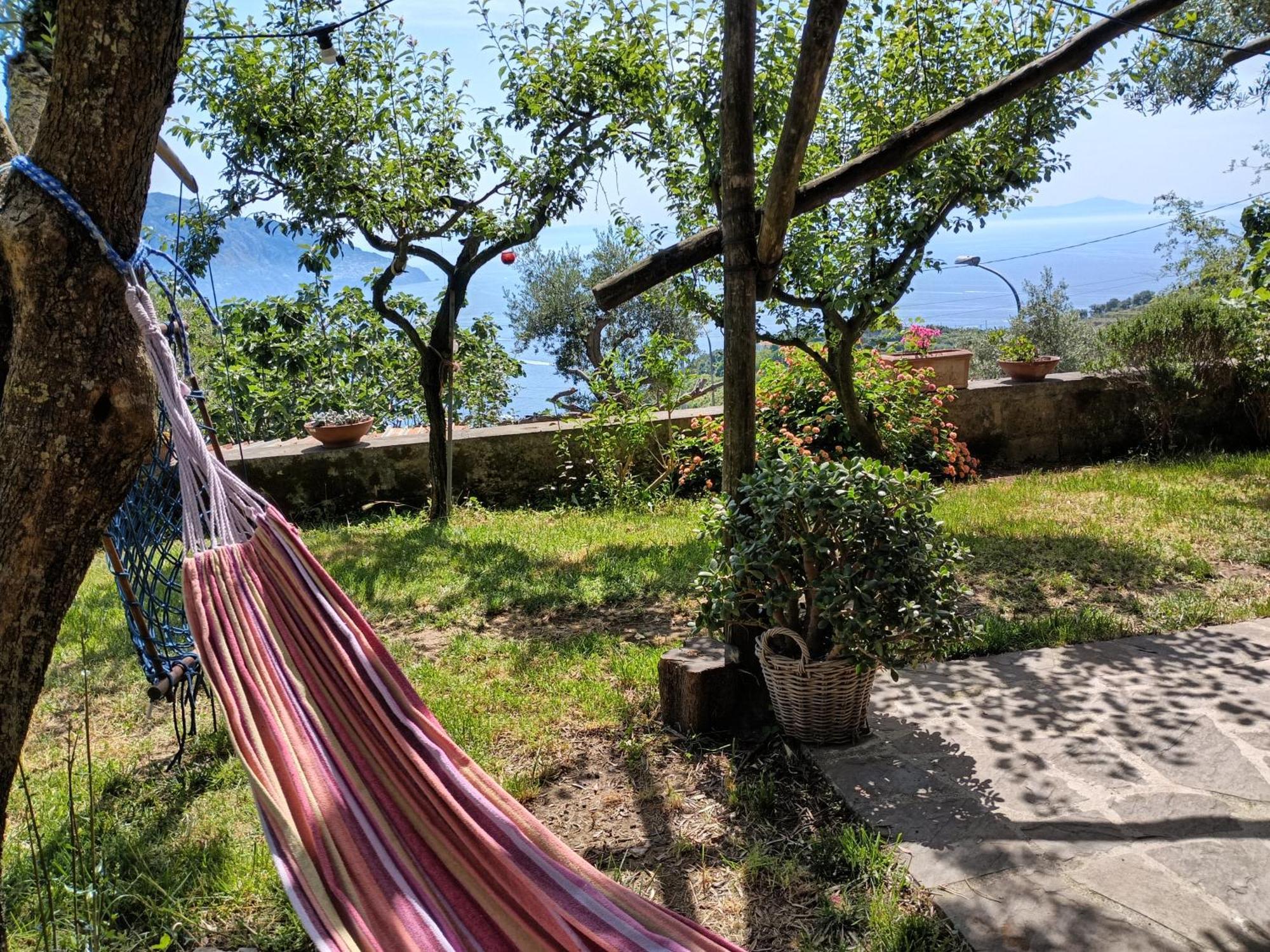 Amalfi Coast, Positano, Sorrento, Capri, Garden, Villa Carcara Colli di Fontanelle Bagian luar foto