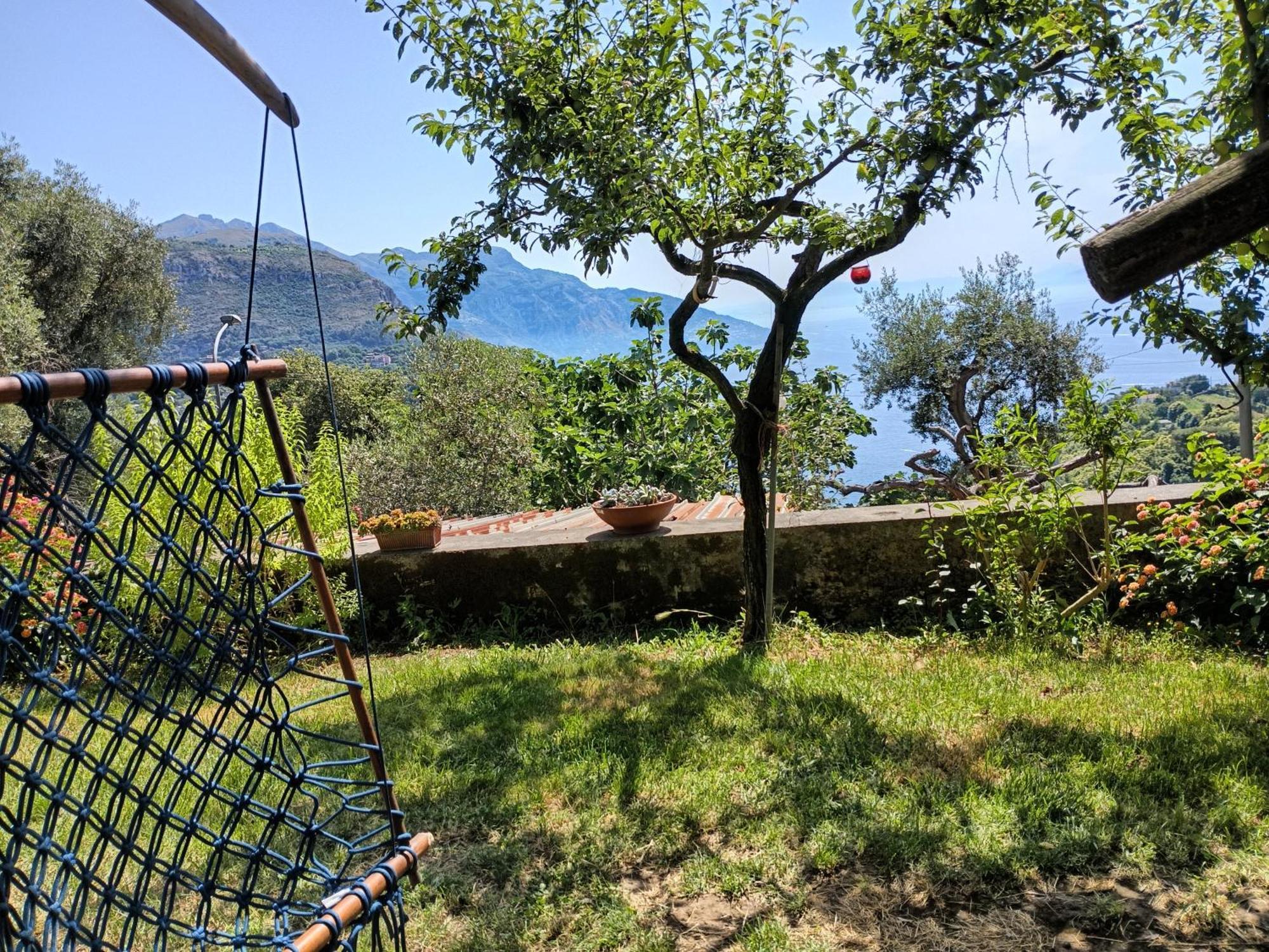 Amalfi Coast, Positano, Sorrento, Capri, Garden, Villa Carcara Colli di Fontanelle Bagian luar foto