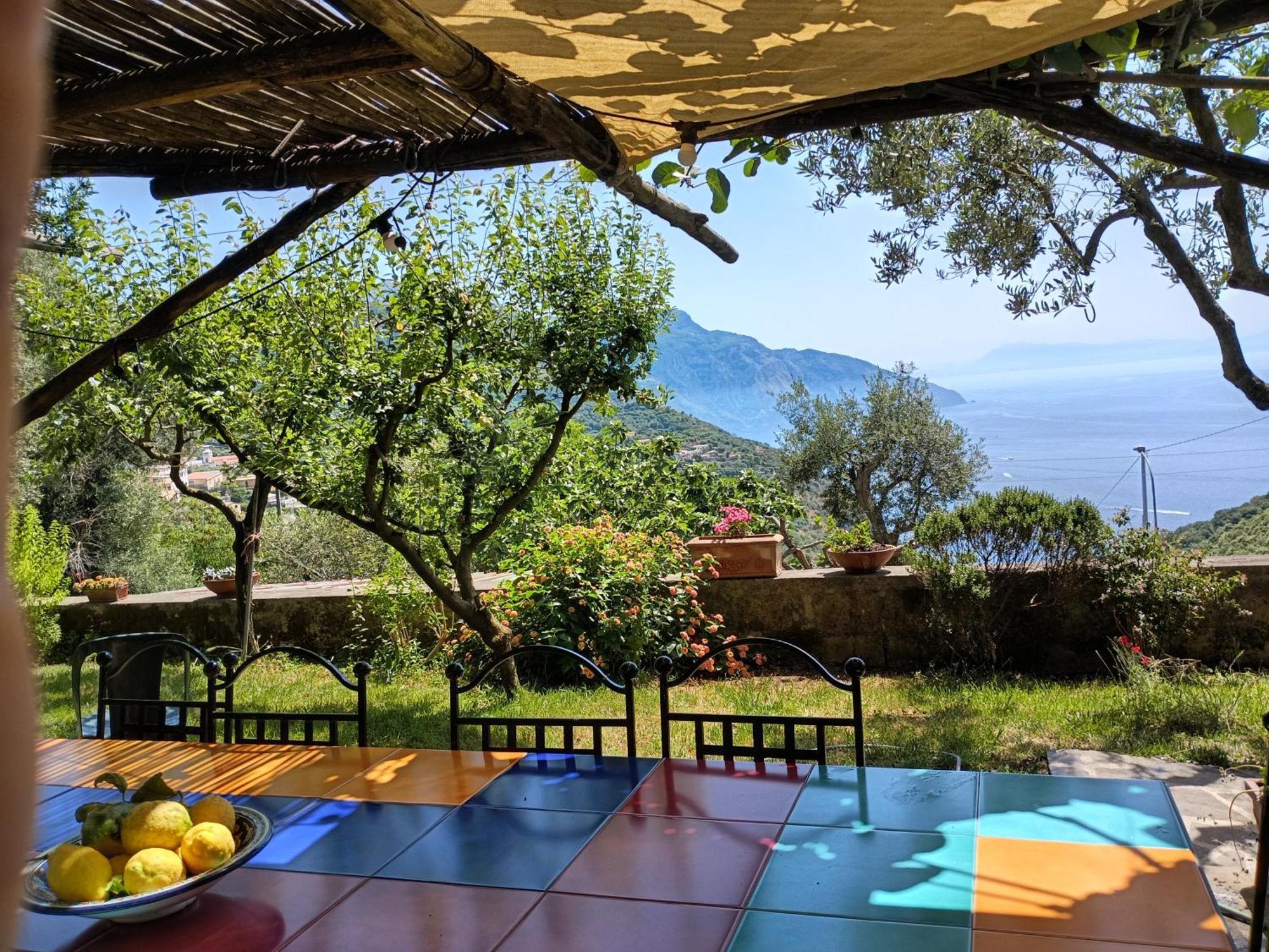 Amalfi Coast, Positano, Sorrento, Capri, Garden, Villa Carcara Colli di Fontanelle Bagian luar foto